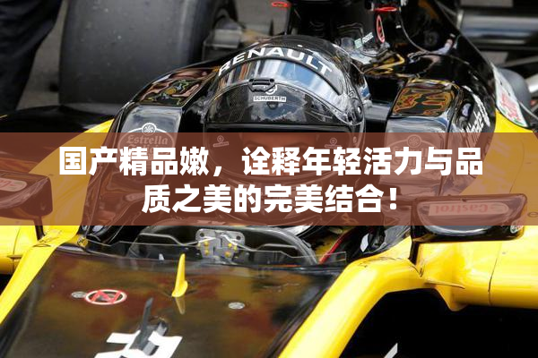 国产精品嫩，诠释年轻活力与品质之美的完美结合！