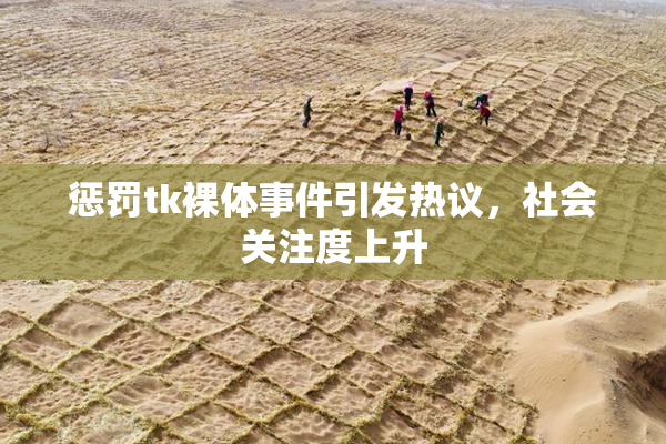 惩罚tk裸体事件引发热议，社会关注度上升