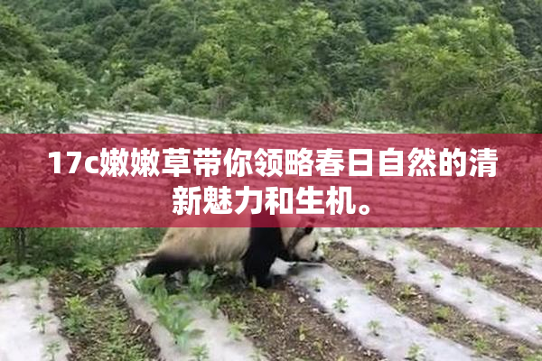 17c嫩嫩草带你领略春日自然的清新魅力和生机。