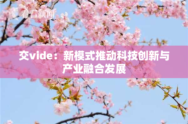 交vide：新模式推动科技创新与产业融合发展