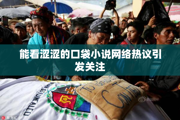 能看涩涩的口袋小说网络热议引发关注