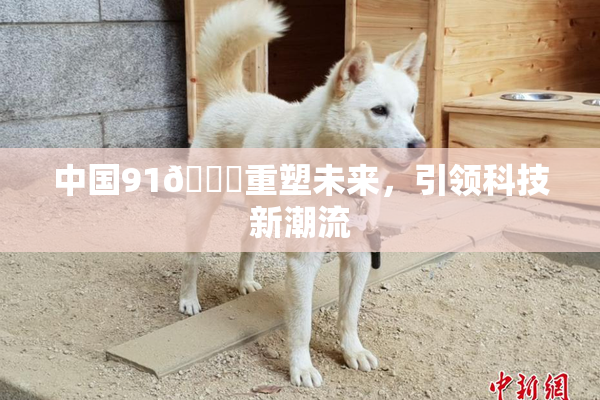 中国91🍆重塑未来，引领科技新潮流