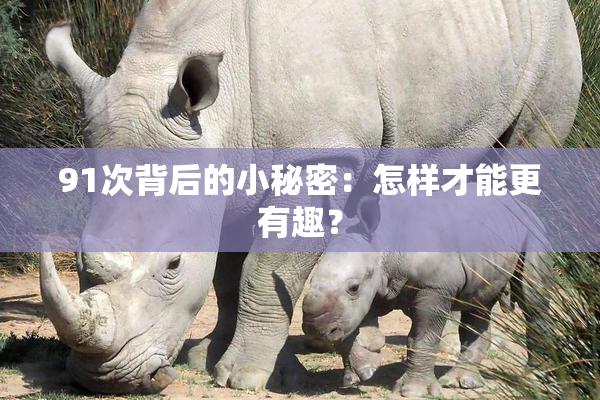 91次背后的小秘密：怎样才能更有趣？