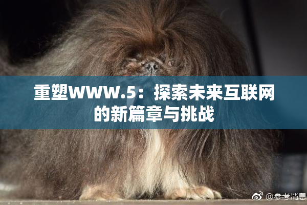 重塑WWW.5：探索未来互联网的新篇章与挑战