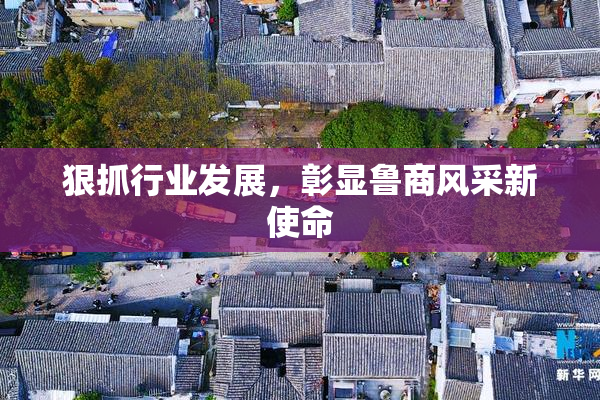 狠抓行业发展，彰显鲁商风采新使命