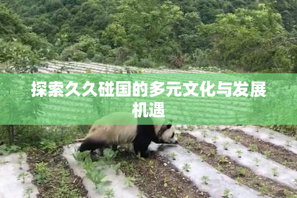 探索久久碰国的多元文化与发展机遇
