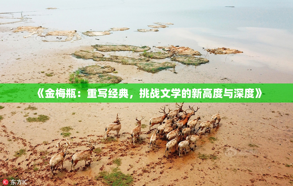 《金梅瓶：重写经典，挑战文学的新高度与深度》