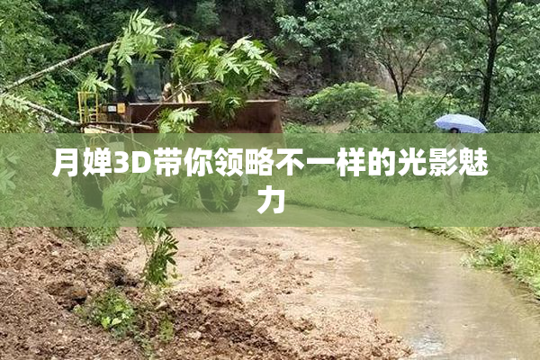 月婵3D带你领略不一样的光影魅力
