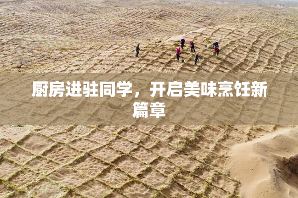 厨房进驻同学，开启美味烹饪新篇章