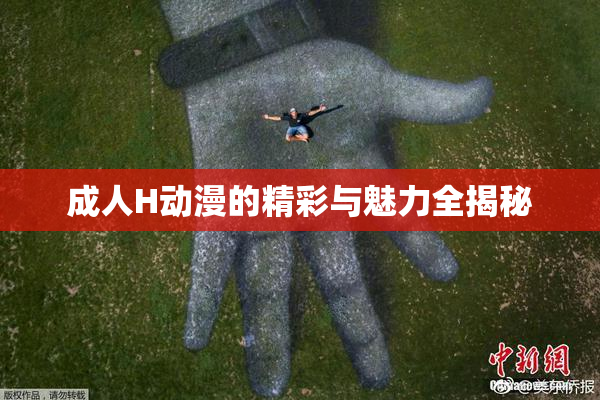 成人H动漫的精彩与魅力全揭秘