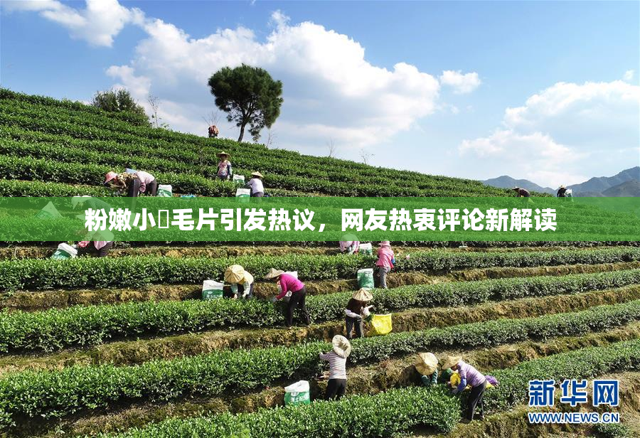 粉嫩小泬毛片引发热议，网友热衷评论新解读