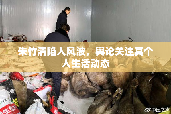 朱竹清陷入风波，舆论关注其个人生活动态