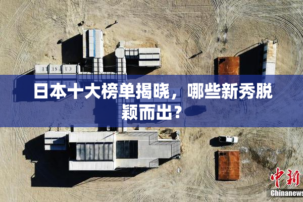 日本十大榜单揭晓，哪些新秀脱颖而出？