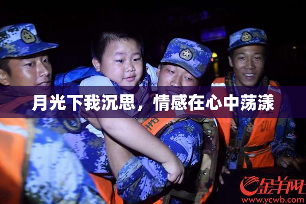 月光下我沉思，情感在心中荡漾