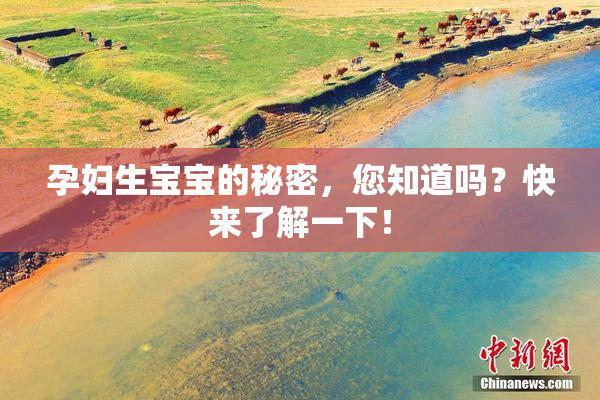孕妇生宝宝的秘密，您知道吗？快来了解一下！