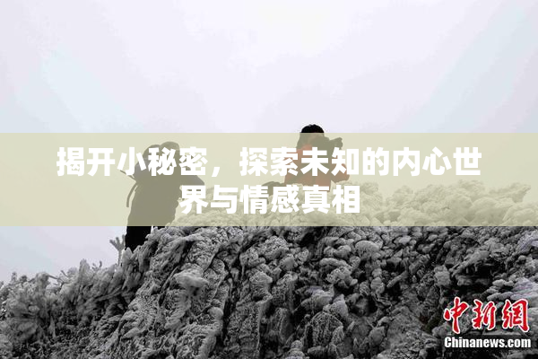 揭开小秘密，探索未知的内心世界与情感真相