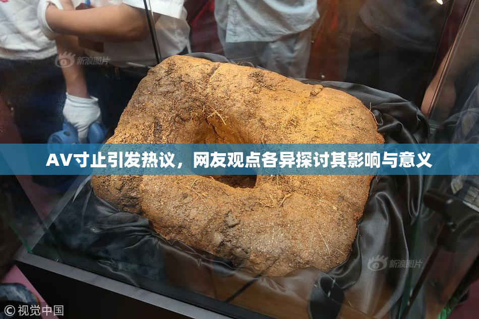 AV寸止引发热议，网友观点各异探讨其影响与意义