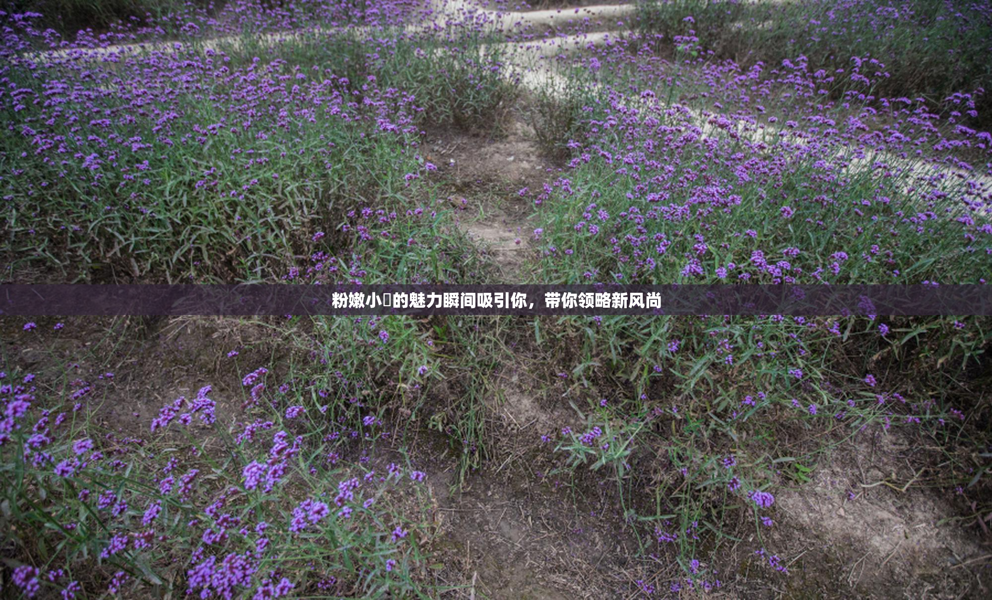 粉嫩小泬的魅力瞬间吸引你，带你领略新风尚