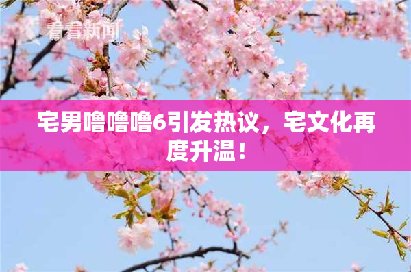宅男噜噜噜6引发热议，宅文化再度升温！