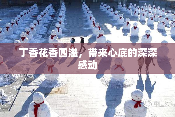 丁香花香四溢，带来心底的深深感动