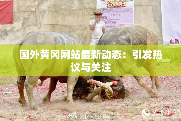 国外黄冈网站最新动态：引发热议与关注