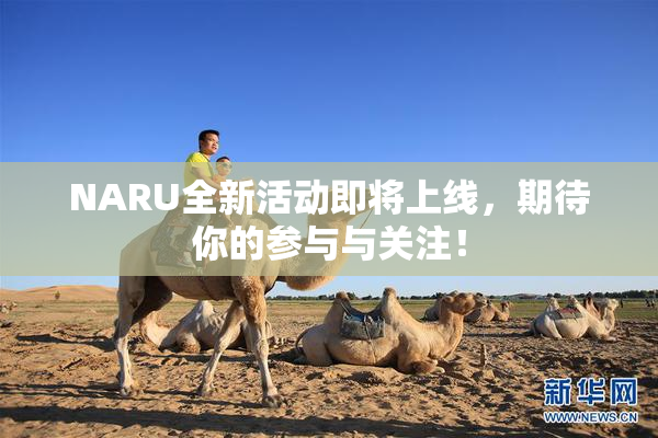 NARU全新活动即将上线，期待你的参与与关注！