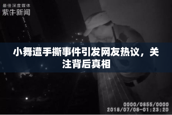 小舞遭手撕事件引发网友热议，关注背后真相