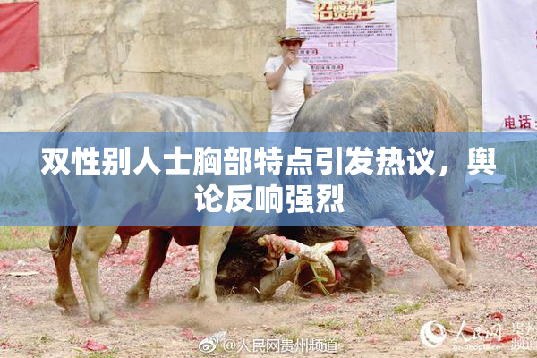 双性别人士胸部特点引发热议，舆论反响强烈