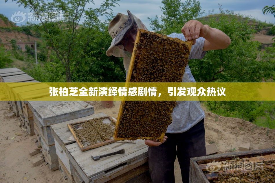 张柏芝全新演绎情感剧情，引发观众热议