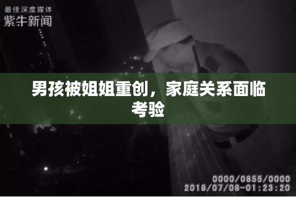 男孩被姐姐重创，家庭关系面临考验