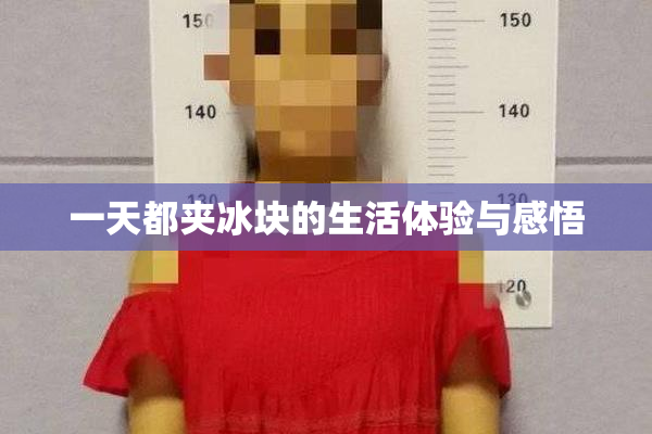 一天都夹冰块的生活体验与感悟