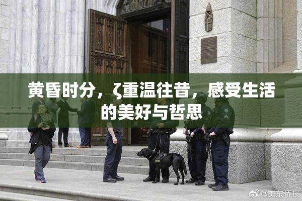 黄昏时分，ζ重温往昔，感受生活的美好与哲思