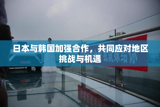 日本与韩国加强合作，共同应对地区挑战与机遇