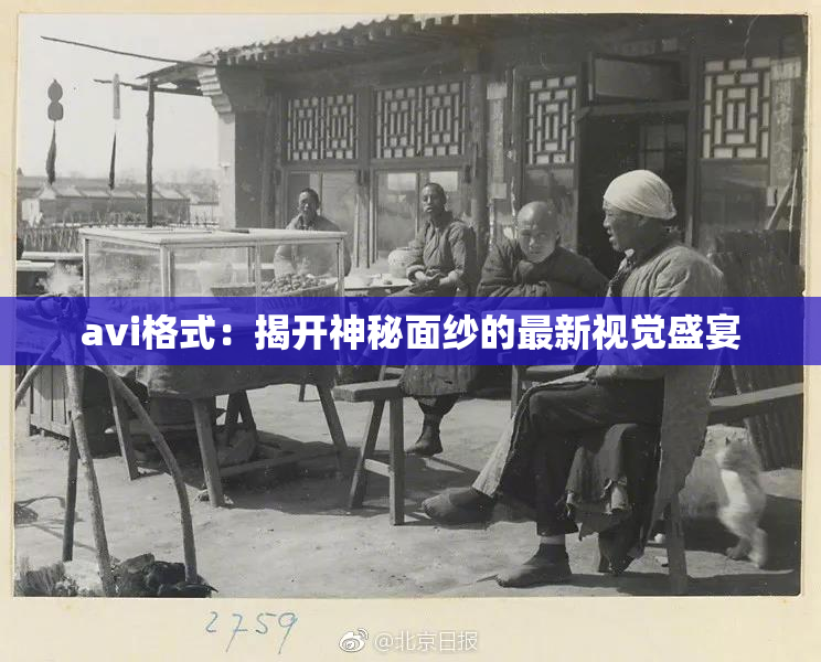 avi格式：揭开神秘面纱的最新视觉盛宴