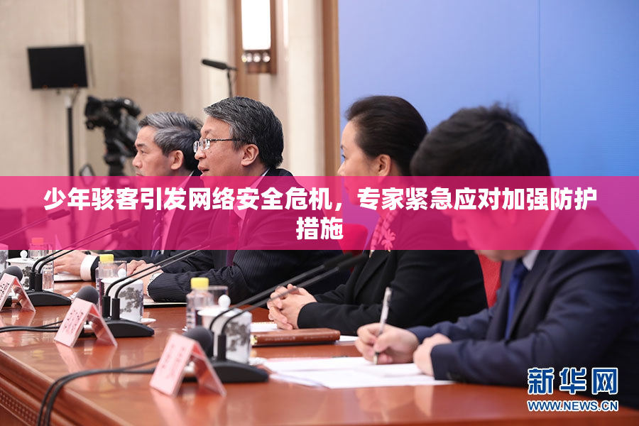 少年骇客引发网络安全危机，专家紧急应对加强防护措施