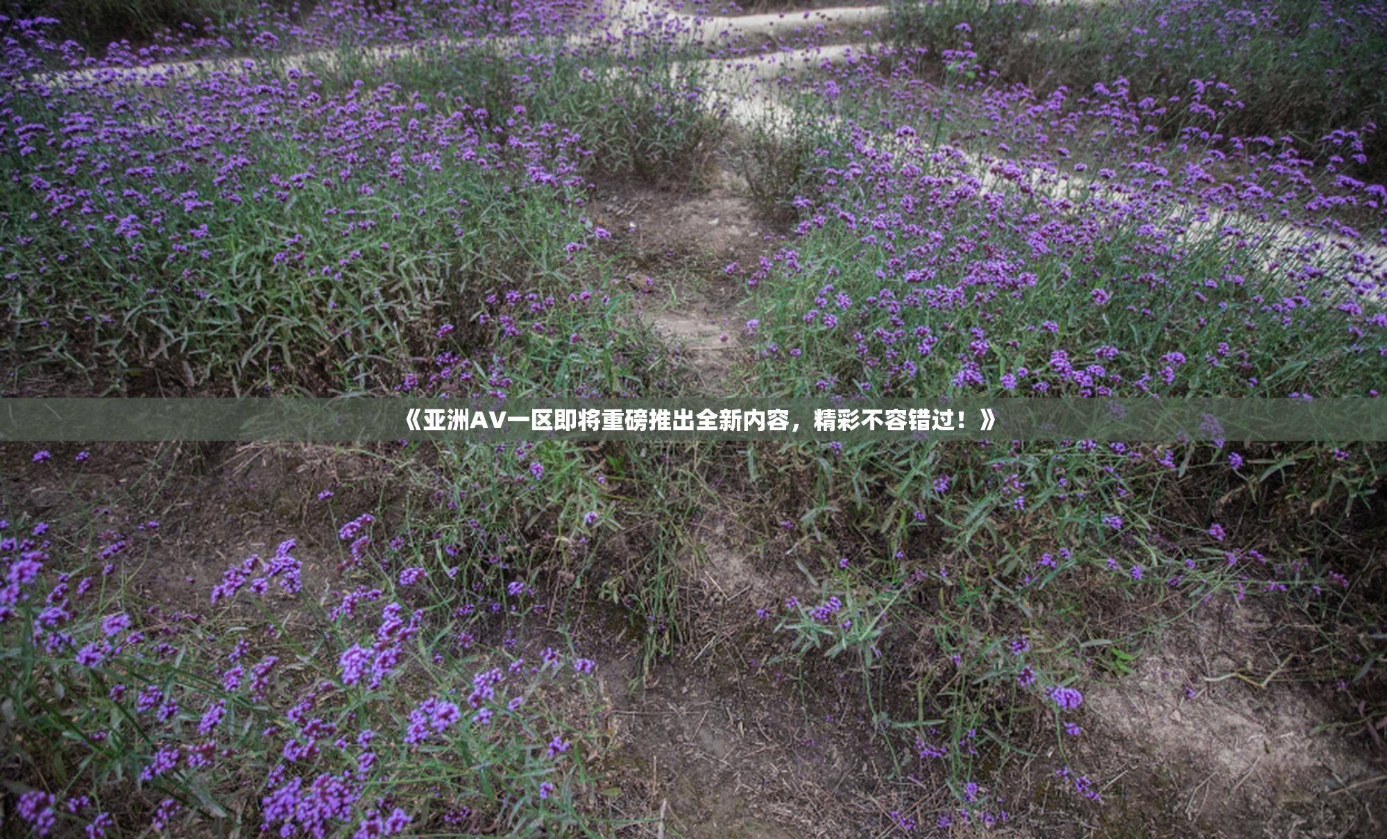 《亚洲AV一区即将重磅推出全新内容，精彩不容错过！》