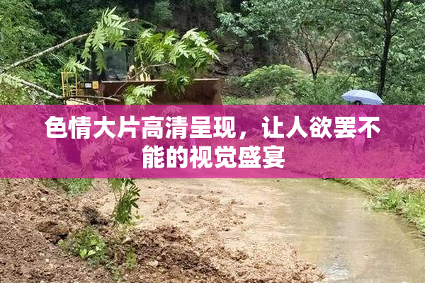 色情大片高清呈现，让人欲罢不能的视觉盛宴