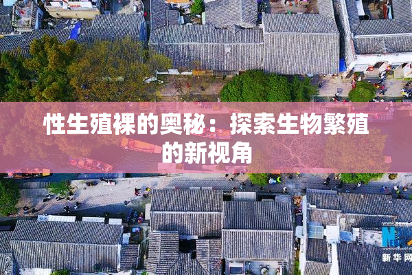 性生殖裸的奥秘：探索生物繁殖的新视角