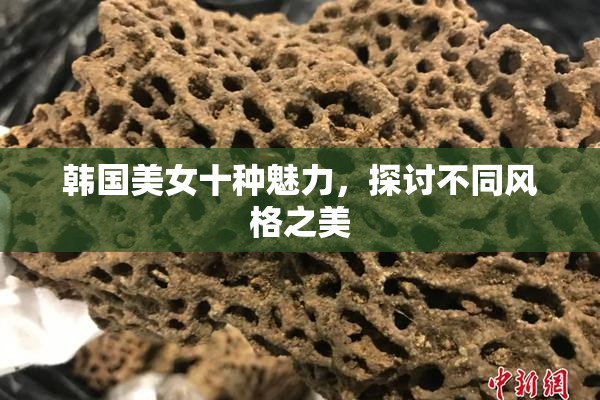 韩国美女十种魅力，探讨不同风格之美