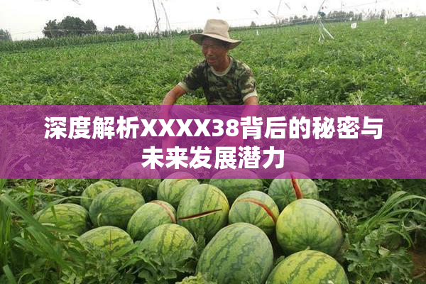 深度解析XXXX38背后的秘密与未来发展潜力