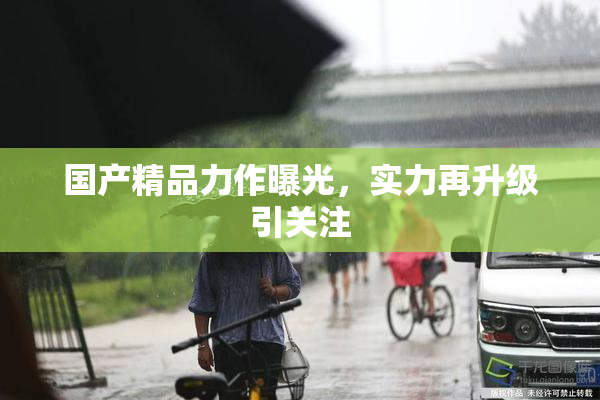 国产精品力作曝光，实力再升级引关注