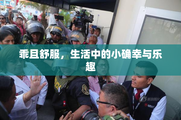 乖且舒服，生活中的小确幸与乐趣