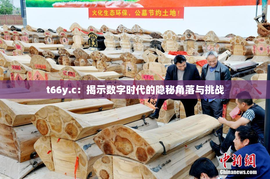 t66y.c：揭示数字时代的隐秘角落与挑战