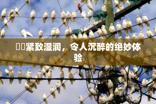 妺妺紧致湿润，令人沉醉的绝妙体验