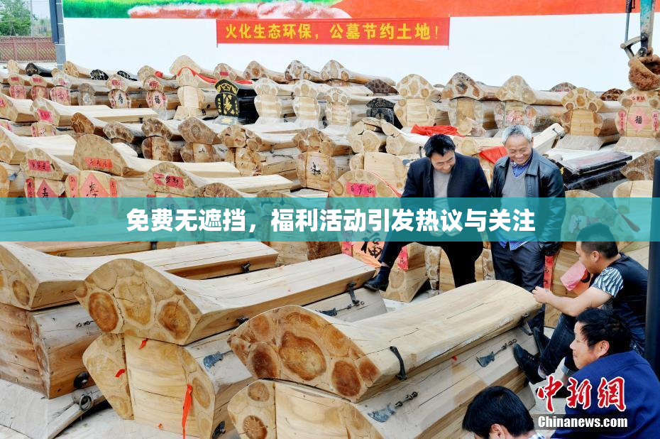 免费无遮挡，福利活动引发热议与关注