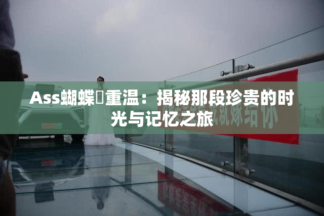 Ass蝴蝶泬重温：揭秘那段珍贵的时光与记忆之旅