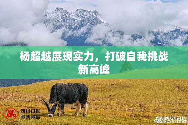 杨超越展现实力，打破自我挑战新高峰