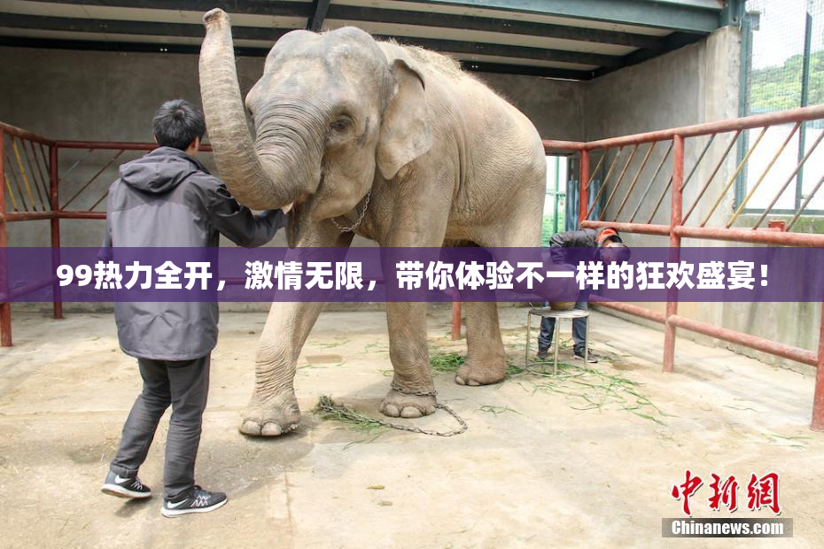 99热力全开，激情无限，带你体验不一样的狂欢盛宴！