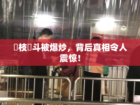 狛枝凪斗被爆炒，背后真相令人震惊！
