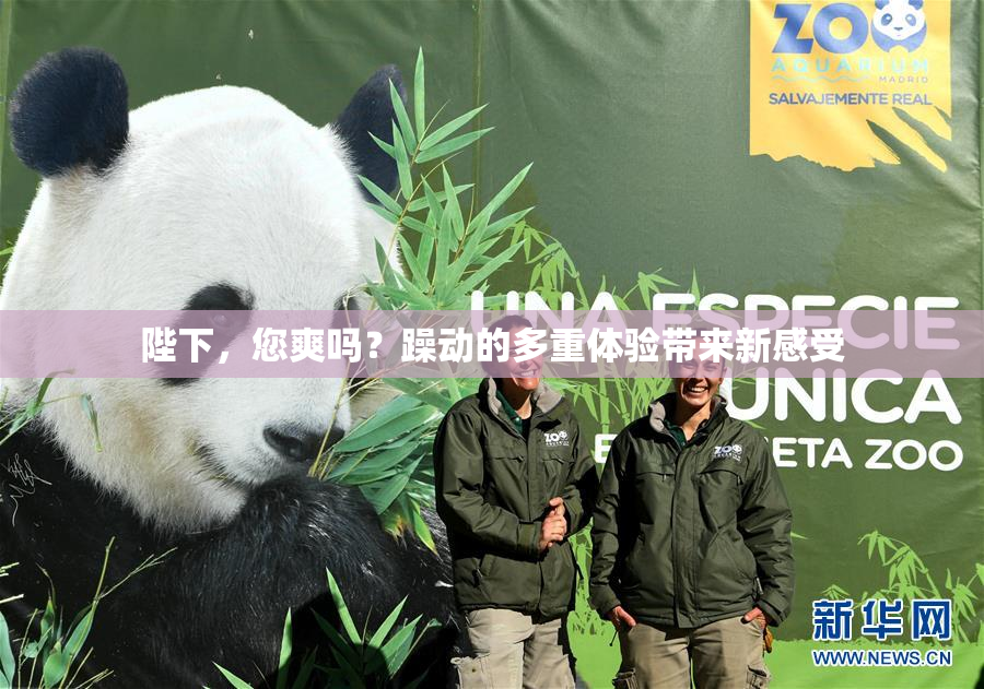 陛下，您爽吗？躁动的多重体验带来新感受